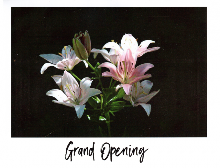 "Grand Opening"